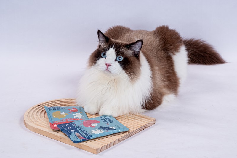 女人知己試用大隊,口碑行銷,部落客行銷,自然食 成長機能主食餐包,自然食,成長機能狗狗主食餐包,成長機能貓咪主食餐包,滿足毛孩最單純的幸福,人食等級食材,開封即食,綿密的肉泥狀質地,好吸收,無膠類,無色素,無防腐劑的添,維持腸道健康,添加DHA/靈芝多醣體,使用高優質蛋白,適口性佳,狗狗口味,犬用營養火雞,犬用嫩雞牛肉,貓咪口味,貓用營養嫩雞,貓用嫩雞鮪魚